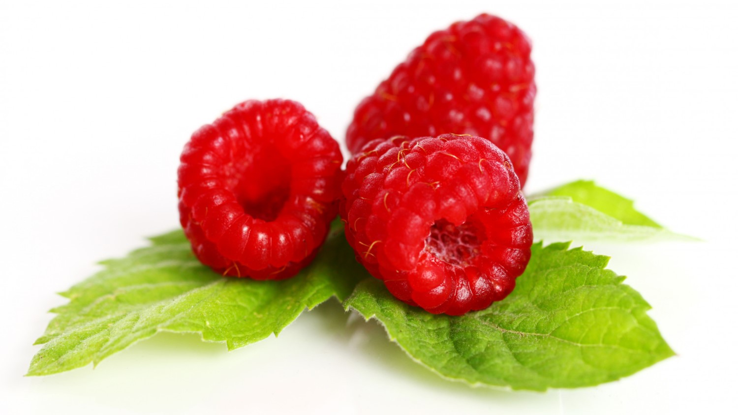 Sadzonki malina Mogilno