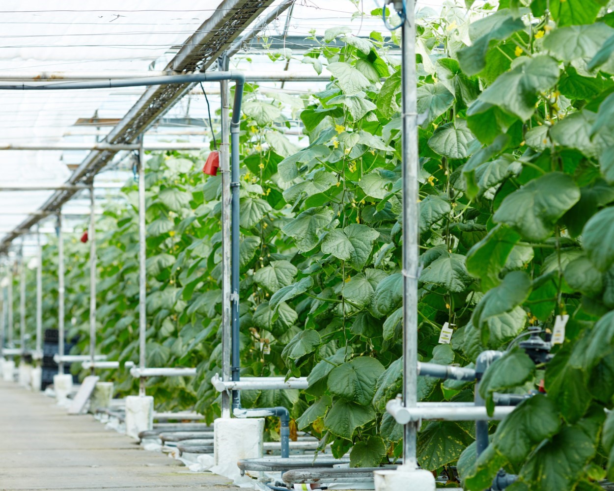 Systemy nawodnień Inowrocław