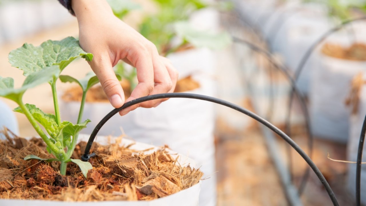 Systemy nawodnień Inowrocław