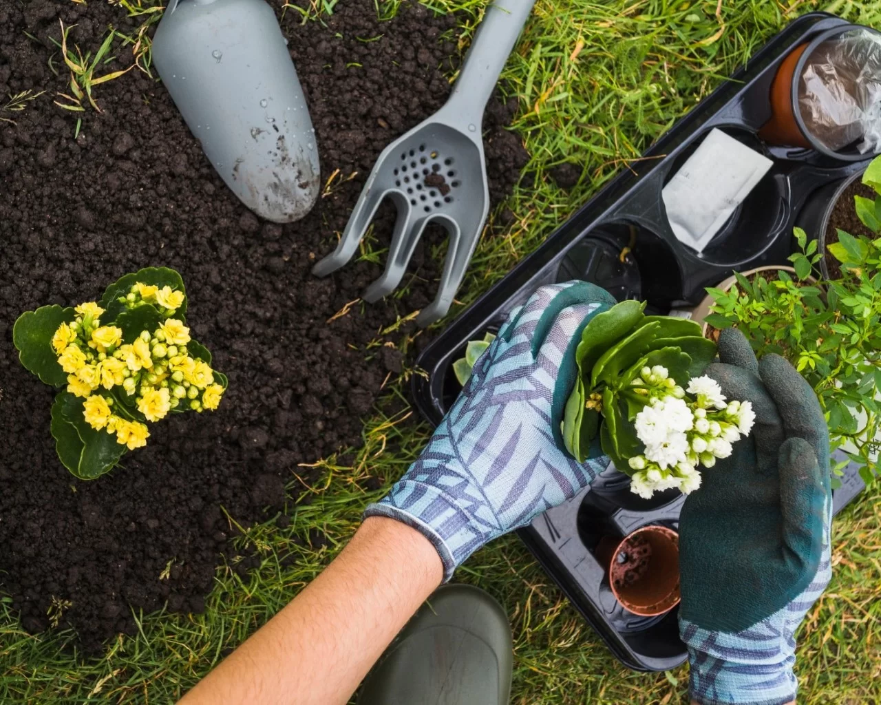 Usługi ogrodnicze Inowrocław
